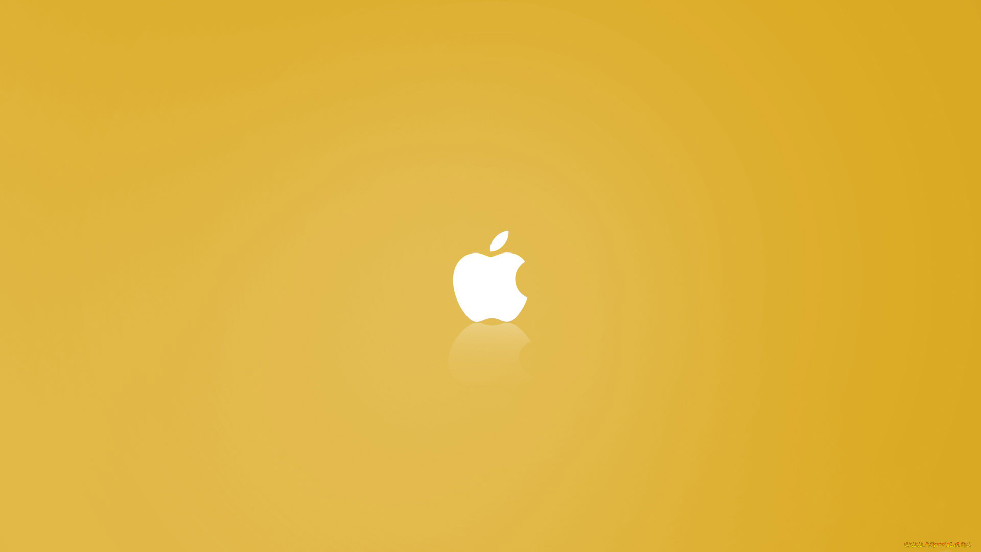 , apple, , 